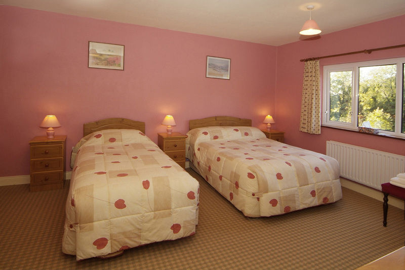 Pk Lodge Bed And Breakfast Skibbereen Luaran gambar