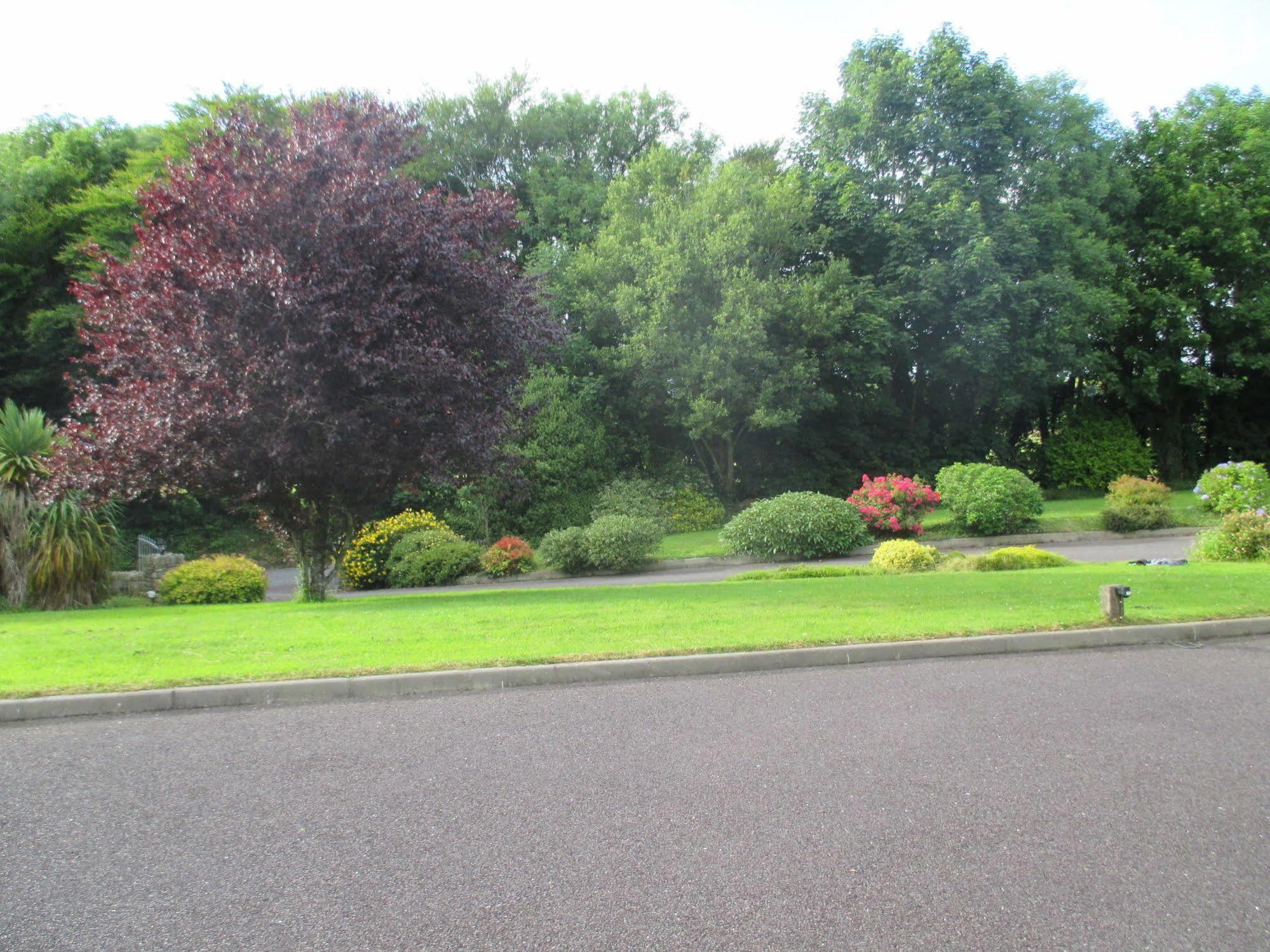 Pk Lodge Bed And Breakfast Skibbereen Luaran gambar